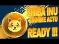  shiba inu annonce une enorme actu  shibarium va dmarrer   