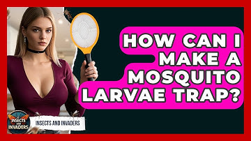 How Can I Make A Mosquito Larvae Trap? - Insects and Invaders