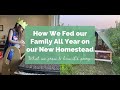 First year homesteaders fed family of 5 all year on 5 acres | Self sufficiency | Food Preservation