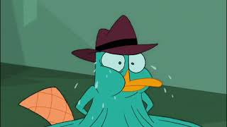 PERRY THE PLATYPUS YOU ATE ALL THE CHEESE?!