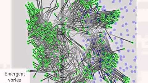 SteerFit: Automated Parameter Tuning for Steering Algorithms