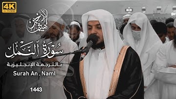 روائع التراويح || من سورة النمل #هيثم_الدخين