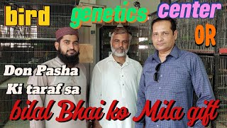 bilal bhai ko Mila gift bird genetics center or Don Pasha Ki taraf Sa🎁🎉