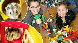 PARCOURS GÉANT EN LEGO POUR NOTRE HAMSTER