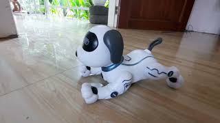 Stunt Robot Dog / Programming stunt. Friendly Smart Dog