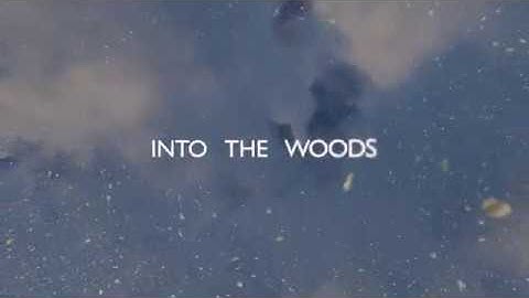 INTO THE WOODS | SNOW RENDERING | LUMION 10