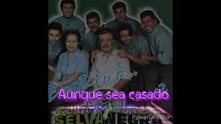 Aunque Sea Casado Selva Negra