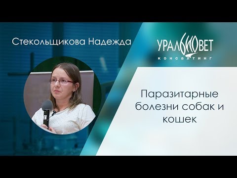 Паразитарные болезни собак и кошек. Стекольщикова Надежда #убвк_дерматология #убвк_паразитология