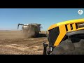 Grassamen Ernte mit Containerabfuhr und Einlagerung - Multi Agrar Claußnitz GmbH, JCB, Claas