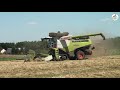 Grassamen Ernte mit Containerabfuhr und Einlagerung - Multi Agrar Claußnitz GmbH, JCB, Claas