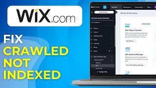 How to Fix “Crawled Not Indexed” in Wix Coverage