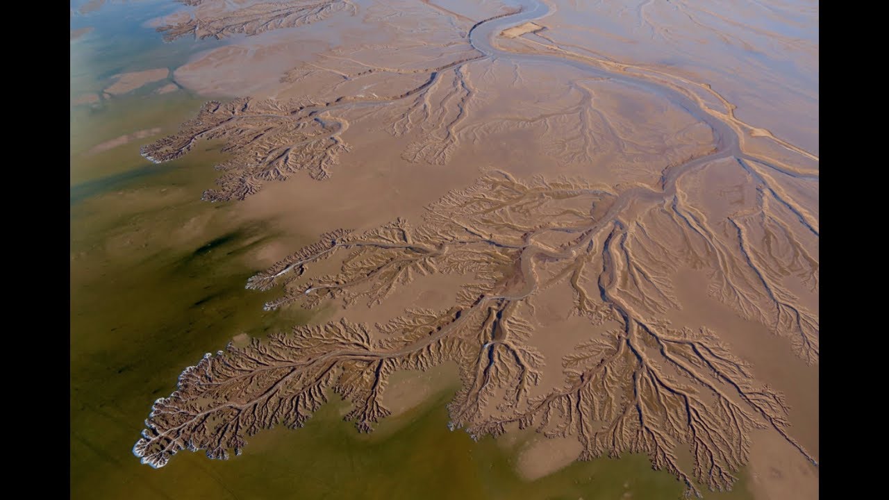 Restore the Colorado River Estuary