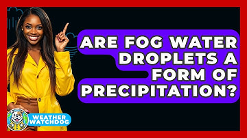 Are Fog Water Droplets A Form Of Precipitation? - Weather Watchdog