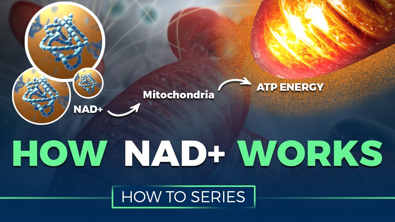 How NAD Works   HOW TO SERIES