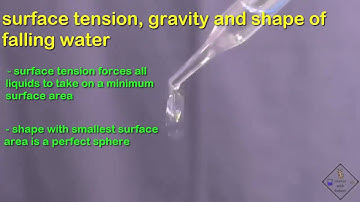 shape of water drops a science with bobert video short