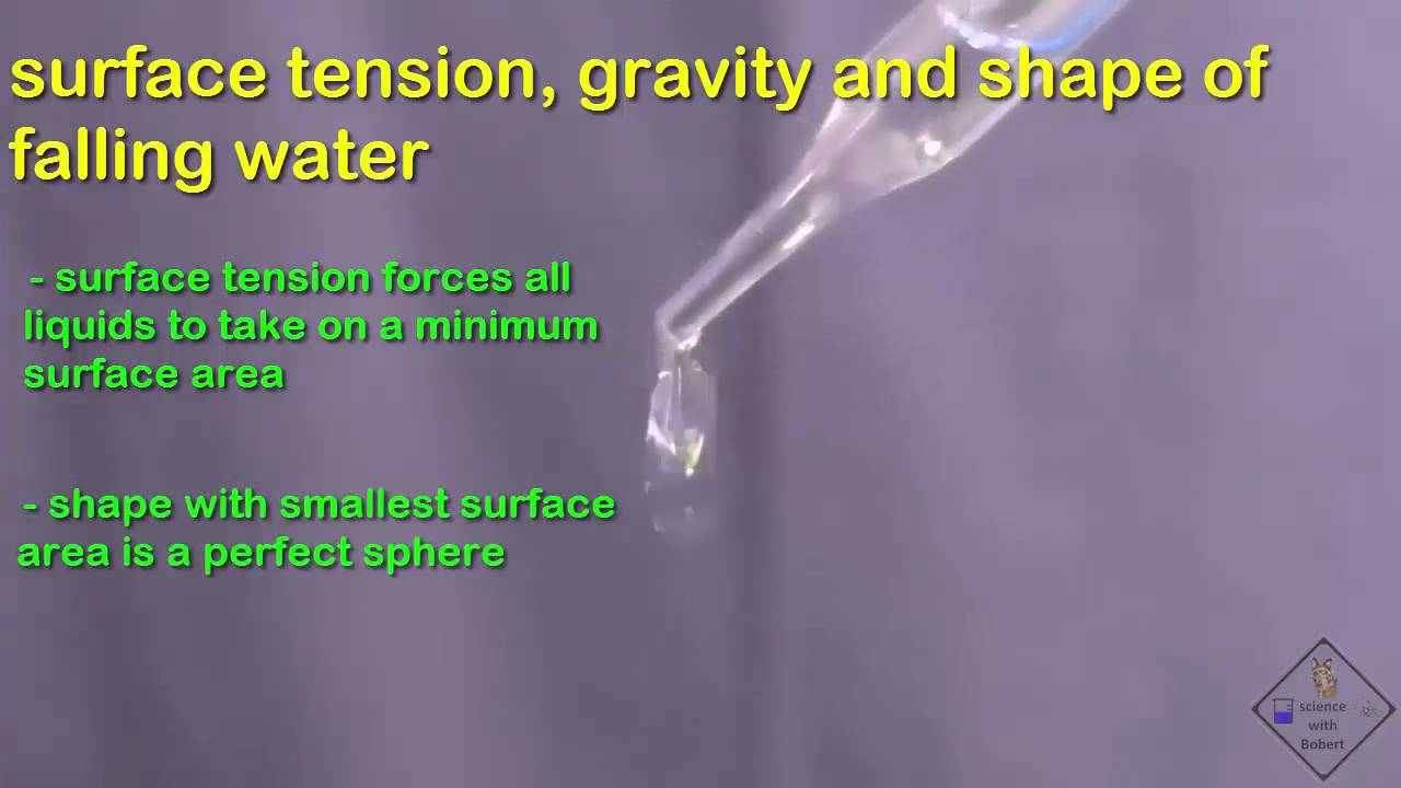 shape of water drops a science with bobert video short YouTube