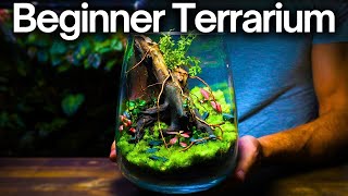 How To Make a Terrarium - Beginner Friendly Tutorial