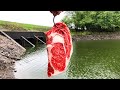 Tossing STEAK into a Hidden SPILLWAY!!! (What are these Fish?)