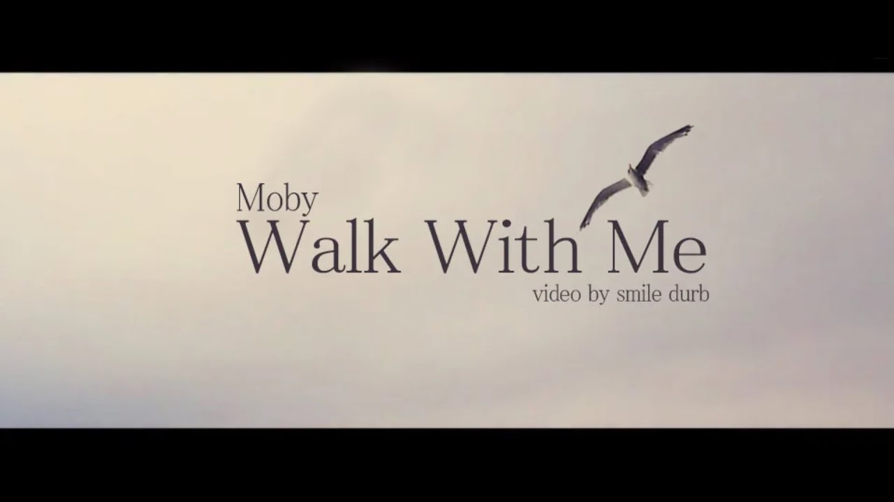 The last day moby перевод песни. Walk with me. Moby - the last Day (feat. Skylar Grey). Moby natural Blues.