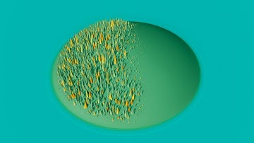 LightWave 3d: Surfacing to Instances and DP Kit Rotate