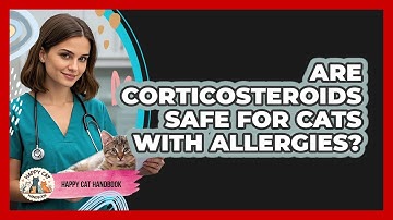 Are Corticosteroids Safe For Cats With Allergies? - Happy Cat Handbook