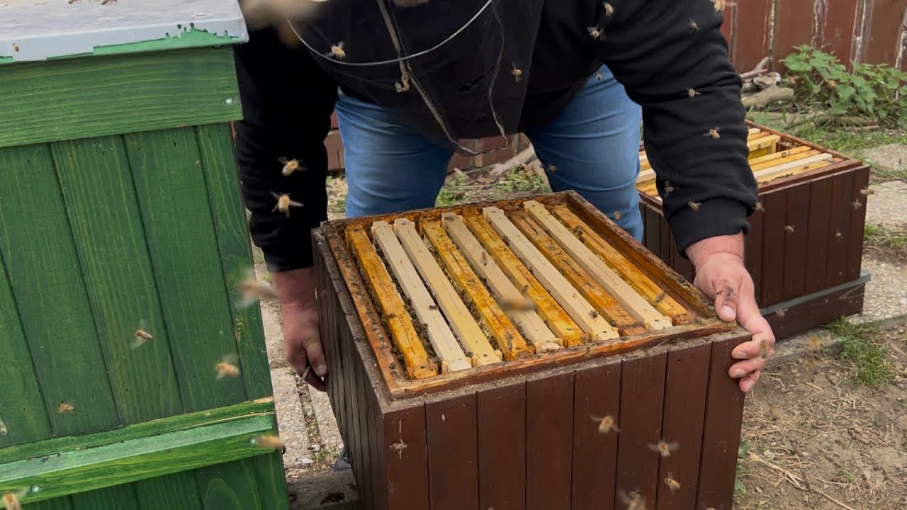 615. Prehodenie nádstavkov - včelstvo kde som dal iba medzistienky 2026-04-20 18:00