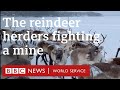 The reindeer herders fighting a mine - BBC World Service