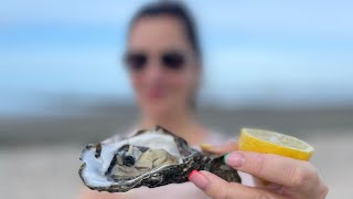 &quot;Expedition Oyster&quot; How to pick the oysters in the Netherlands (up to 10 kg for free!).