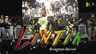Lintik - Brownman Revival | Kuerdas Reggae Cover