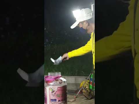 謝惠米(四)   傷心的緣  (東哥點唱)    原唱＃黃乙玲   街頭藝人    嘉義市文化公園A點   2023.10.18