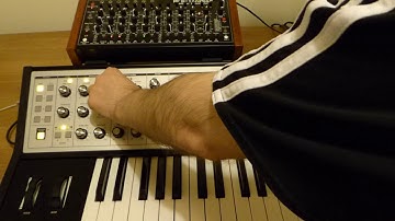 MFB Tanzbar, Moog Sub Phatty & Behringer VD400 Vintage Delay