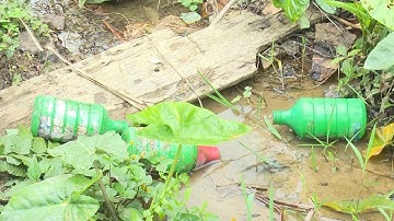 Tin Tức 24h: Ô nhiễm nguồn nước do thuốc diệt cỏ ở Bắc Kạn