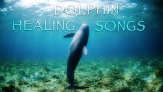 Deep Meditation Music and Enchanting dolphin songs for Relieving Stress and Anxiety