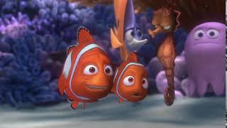 sponge beds but I'm hooked on a feeling