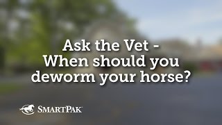 Ask the Vet - When should you deworm your horse?