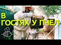 ПЧЕЛОВОД в гостях у пчел | Продукты пчеловодства и жизнь улья | Как собрать мед? ПАСЕКА