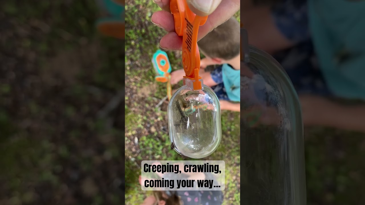 This Bug Gave Us the Chills 😬