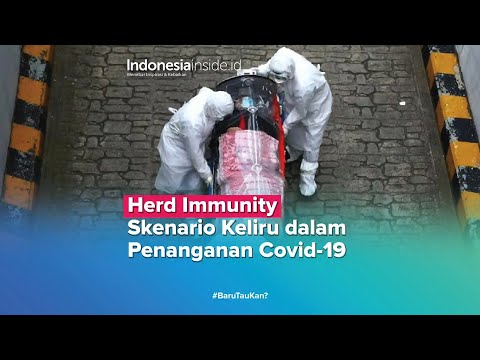 herd-immunity,-skenario-keliru-dalam-penanganan-covid-19