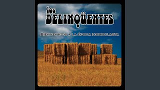 Video thumbnail of "Los Delinqüentes - Donde Crecen Las Setas"