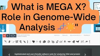 What is MEGA X? Role in Genome-Wide Analysis 🧬🌟"