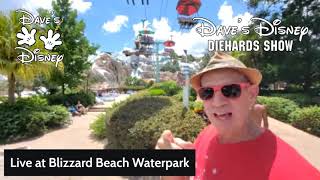 Live at Blizzard Beach Waterpark
