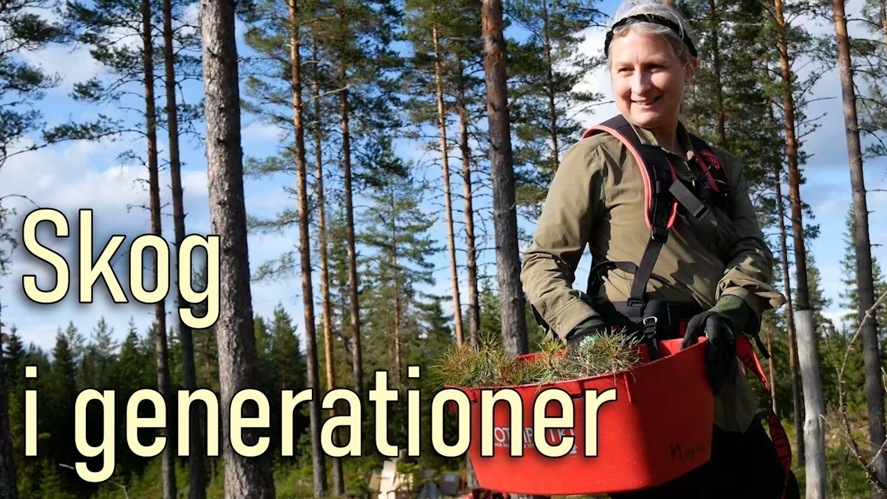 Skog i generationer, del 2