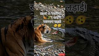 Tiger vs Crocodile Fight 🐅🐊 | Deadly Battle in Water! #shorts #wildlife #animals #dreamscreenai