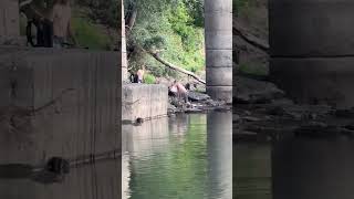 два рыбака не поделили опарыша #рыбалка #мызякрутой #неклюет