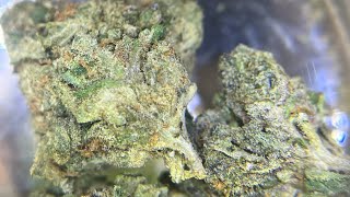 Delta Bros THCA Flower (Biscotti) Review
