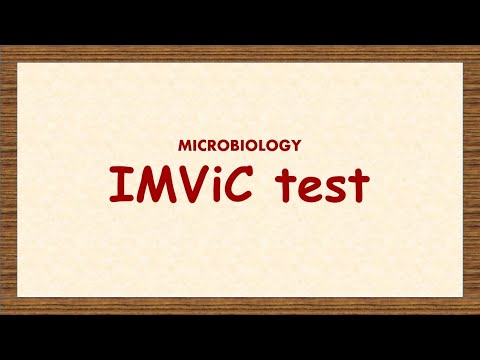 Video: Hvorfor er IMViC nyttig for å identifisere Enterobacteriaceae?