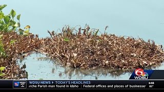 Potential fuel spill at the 40 Arpent Canal in Chalmette, officials say to avoid area