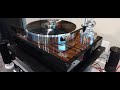 Acoustic Signature Double  X Neo Turntable with TA-1000 Tonearm and Esprit Celesta Tonearm Cable