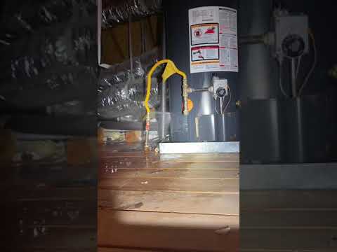 You Won't Believe This: Bayleeadami Leaks Exploded Online