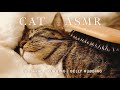 1649c asmrso relaxing asmr with my cat pickle  brushing  belly rubbing purring